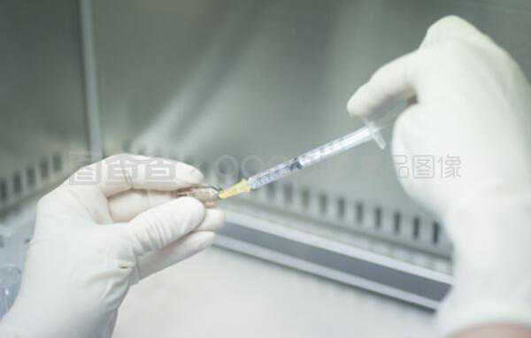 武汉单身代孕咨询前要核验什么：条件、法律与隐私边界